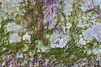 N 157A